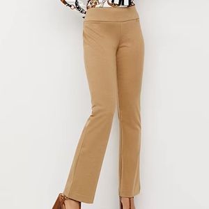Tan pull on dress pants